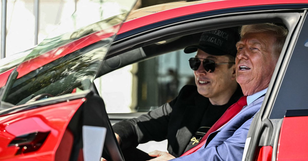 Tesla investor survey shows 85% believe Elon Musk’s politics are having ‘negative’ or ‘extremely negative’ impact on company