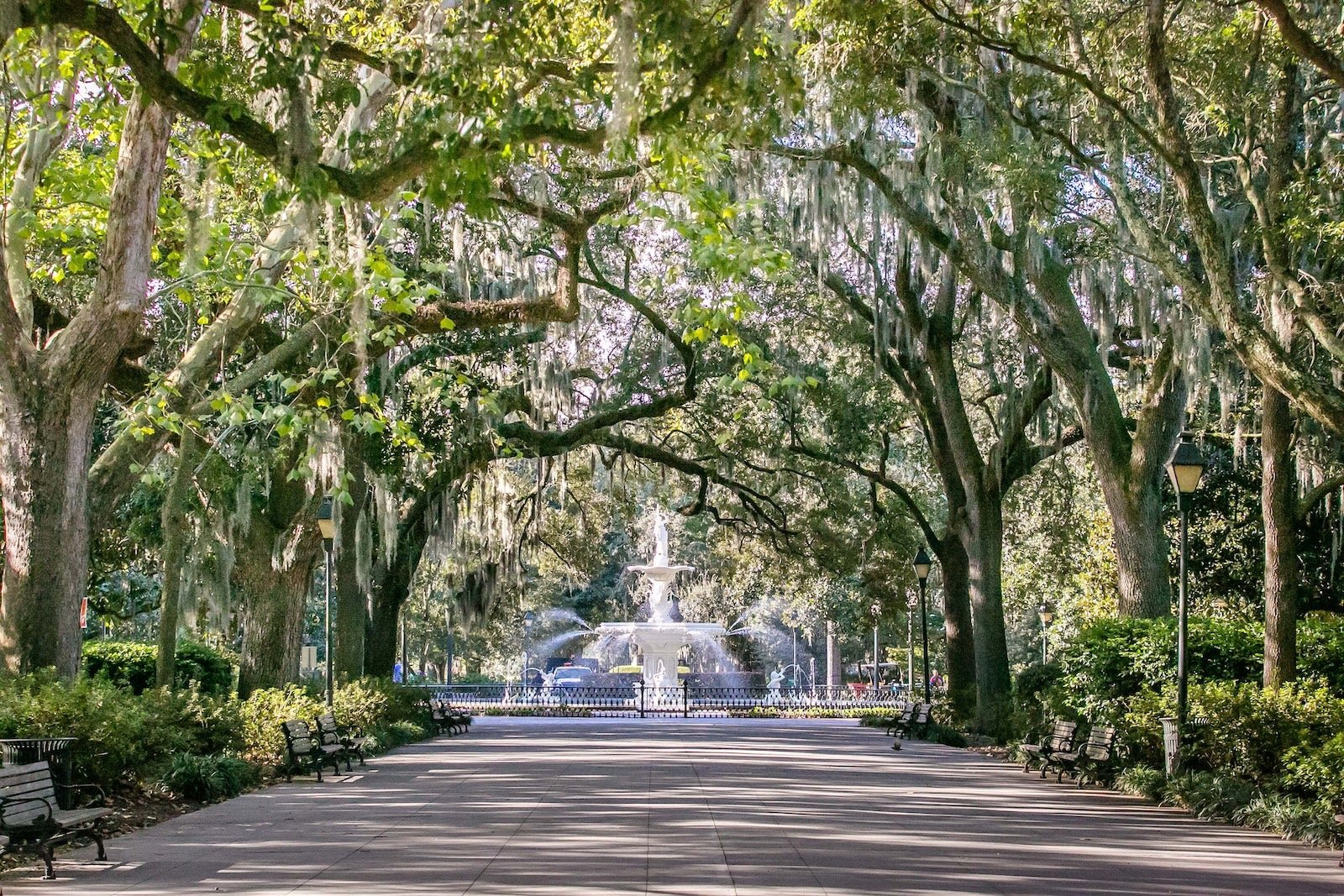 TPG’s guide to Savannah, Georgia