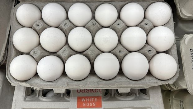 U.S. officials cracking down on people trying to bring valuable eggs across the border