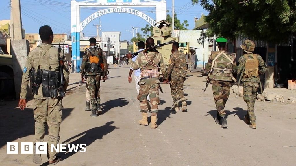 Somali-US airstrike in battle with al-Shabab