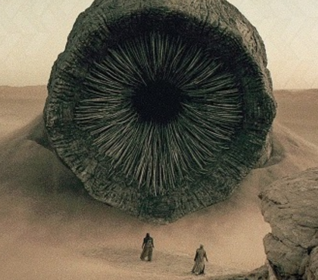 Self-Replicating Worm Hits 180+ Software Packages – Krebs on Security