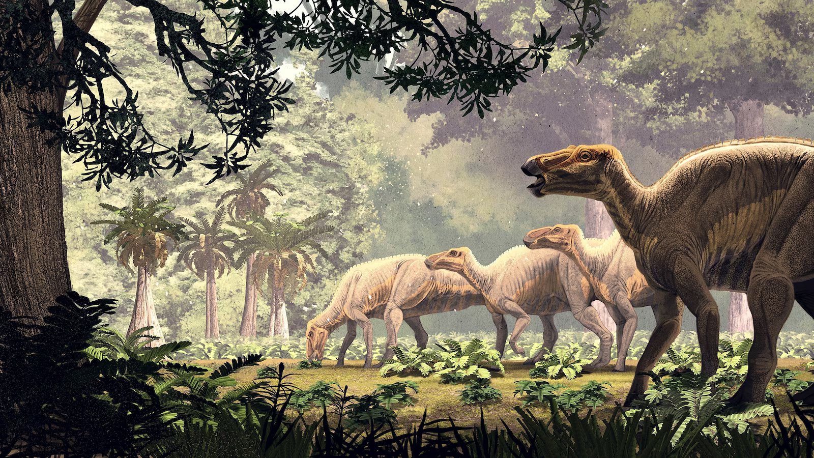 ‘Stunningly preserved’ dinosaur ‘mummies’ discovered in Wyoming have skin and hooves