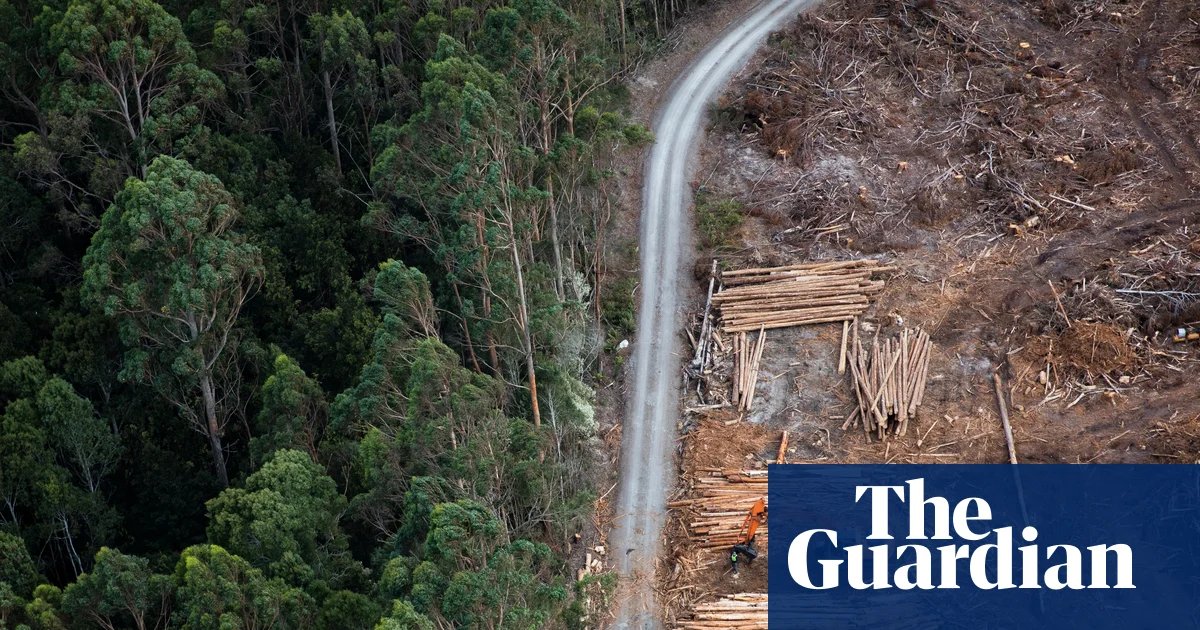 ‘Highly unusual’ exemption in Labor’s environment laws open to interference, integrity experts say | Australian politics