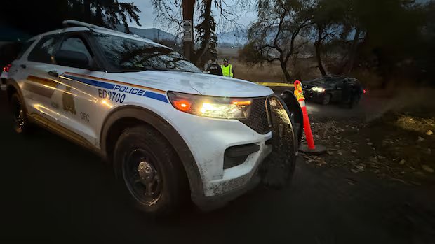 Shots ring out at Universal Ostrich farm in Edgewood, B.C.