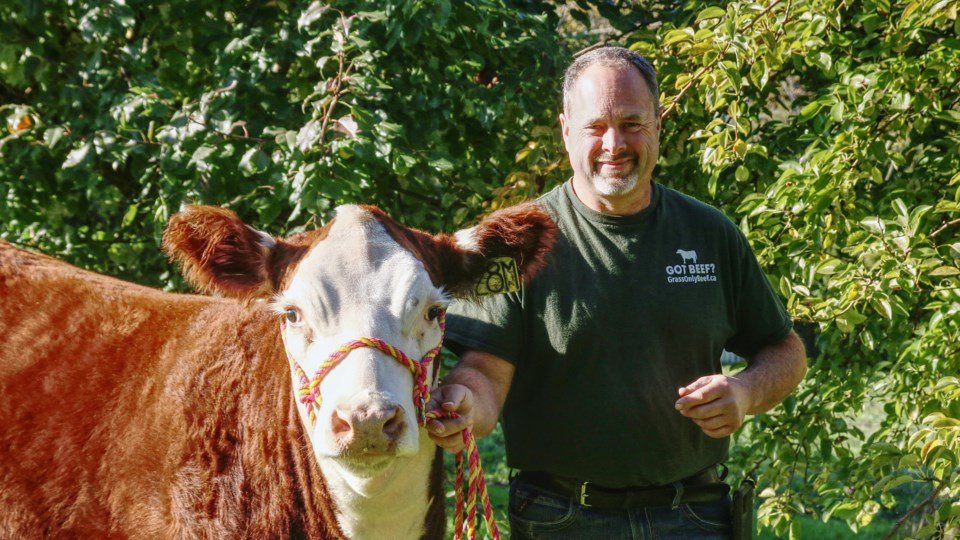 How B.C. shoppers are cutting out middlemen when buying beef, chicken, fish