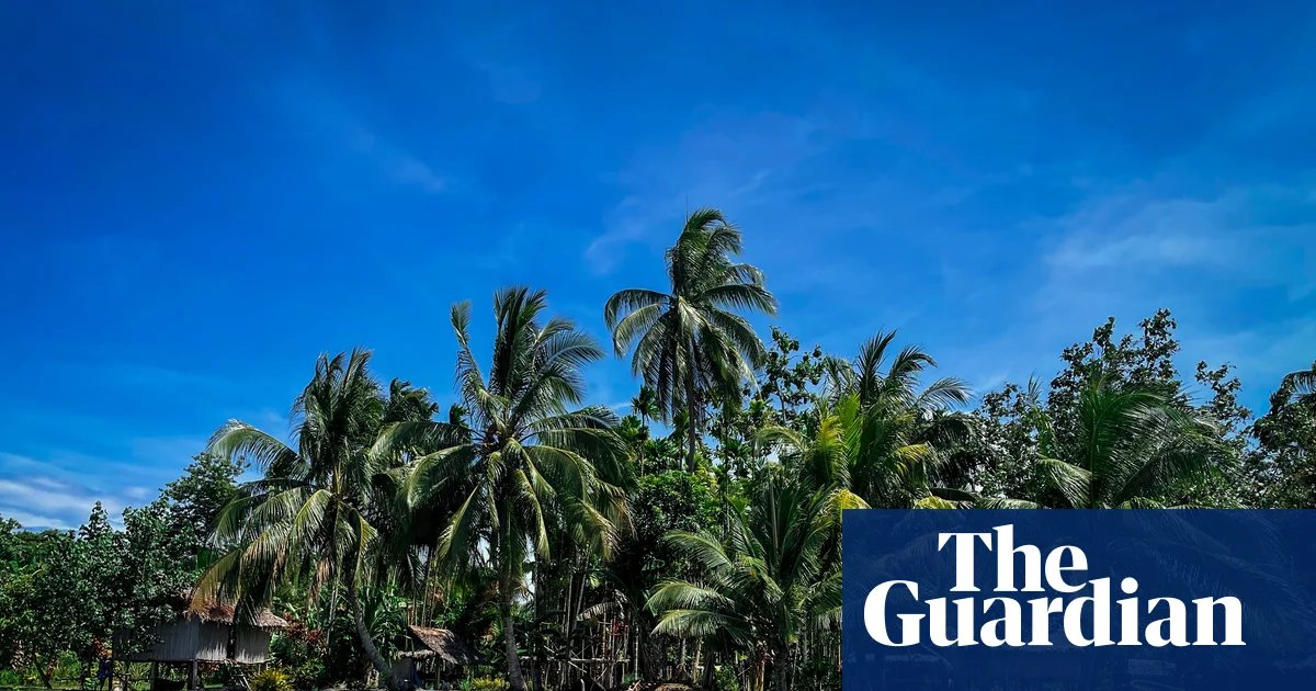 ‘Long on talk and short on action’: Papua New Guinea leader criticises Cop climate summits ahead of Brazil meeting | Pacific islands
