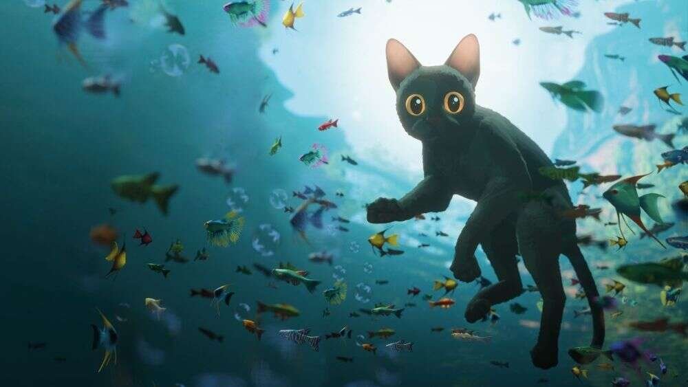 Criterion’s 4K Blu-Ray Edition Of Flow Is 50% Off And Comes With An Extra Movie