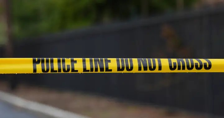 House cleaner shot, killed after trying to enter wrong home in Indiana – National