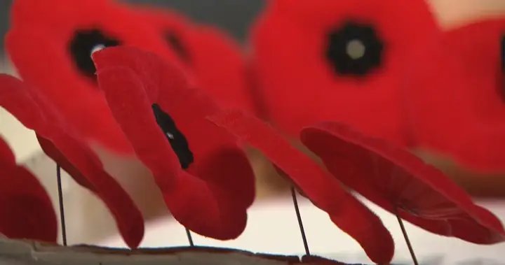 N.S. premier criticizes ‘disgusting’ ban on staff wearing poppies in some courtrooms