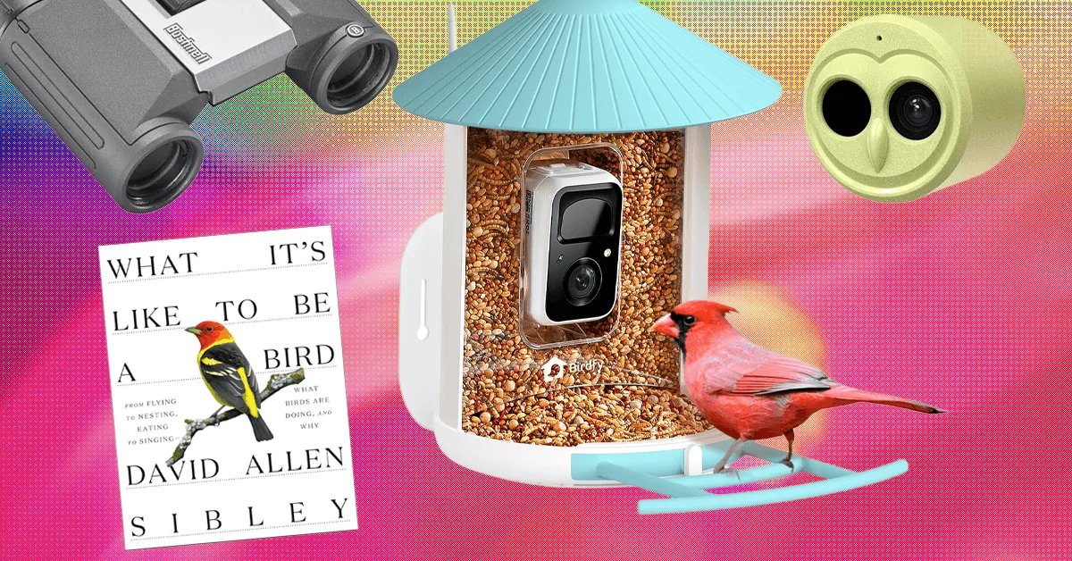 The 19 Best Tried and Tested Gifts for Bird Lovers (2025)