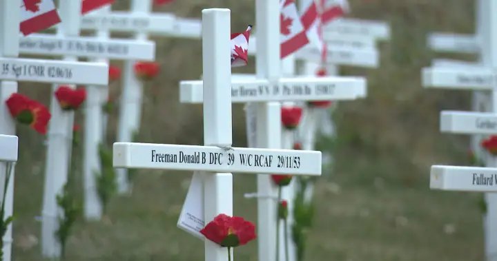 Calgary Remembers: Field of Crosses honours Canada’s fallen soldiers for 17th year