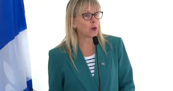 Expelled CAQ member of Quebec legislature slams government over doctor payment bill – Montreal