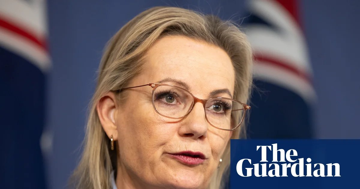 Coalition urged to ignore ‘opinions of Pauline Hanson’ as it weighs hardline approach to immigration | Australian immigration and asylum