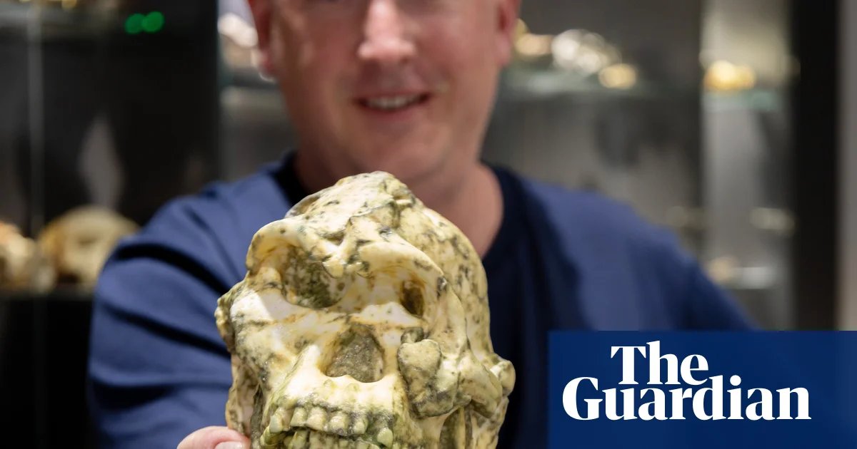 Little Foot hominin fossil may be new species of human ancestor | Evolution