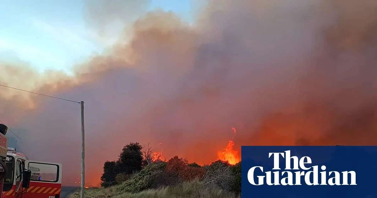 Parts of Australia hit by severe heatwave as temperatures pass 40C in NSW and Tasmanian bushfires threaten properties | Australia weather