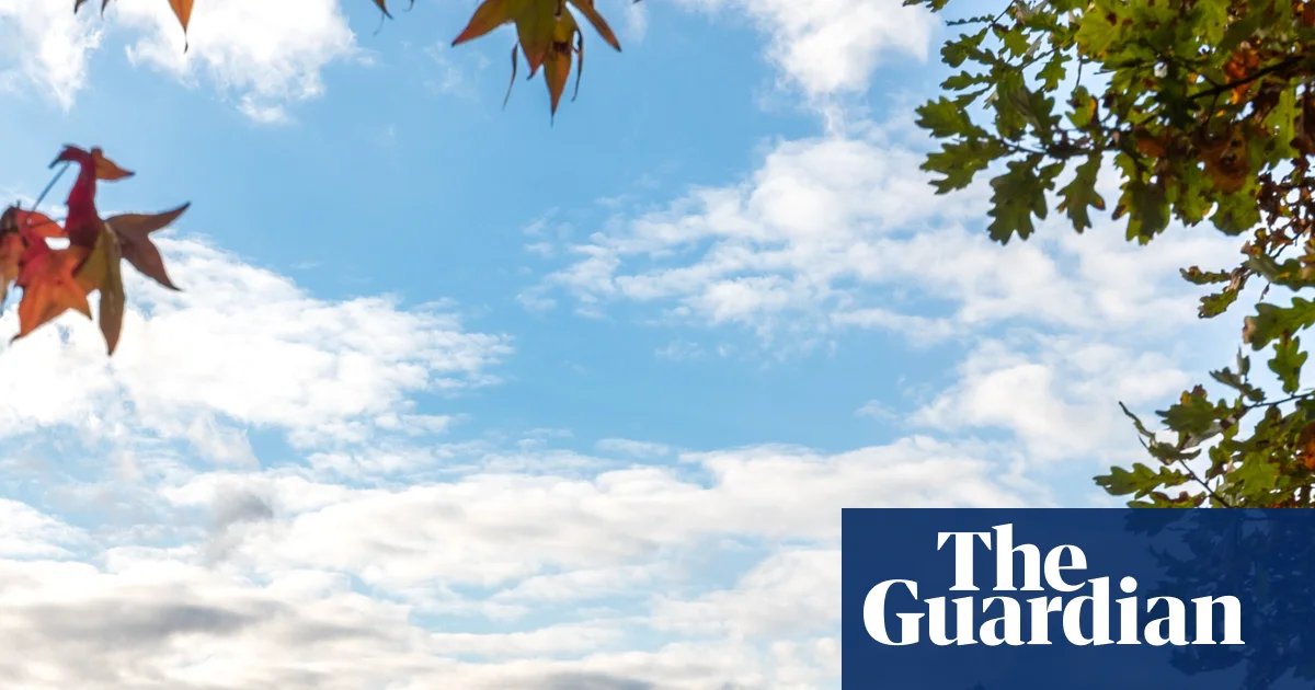 No longer ‘unloved’: retailers investing more in physical stores, UK data shows | Retail industry