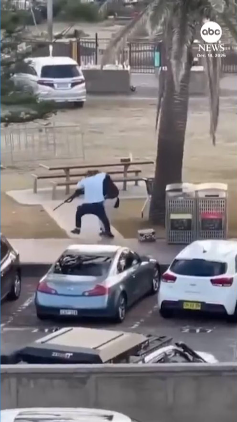 Video Video shows moment heroic bystander wrestles gun from alleged Bondi Beach shooter