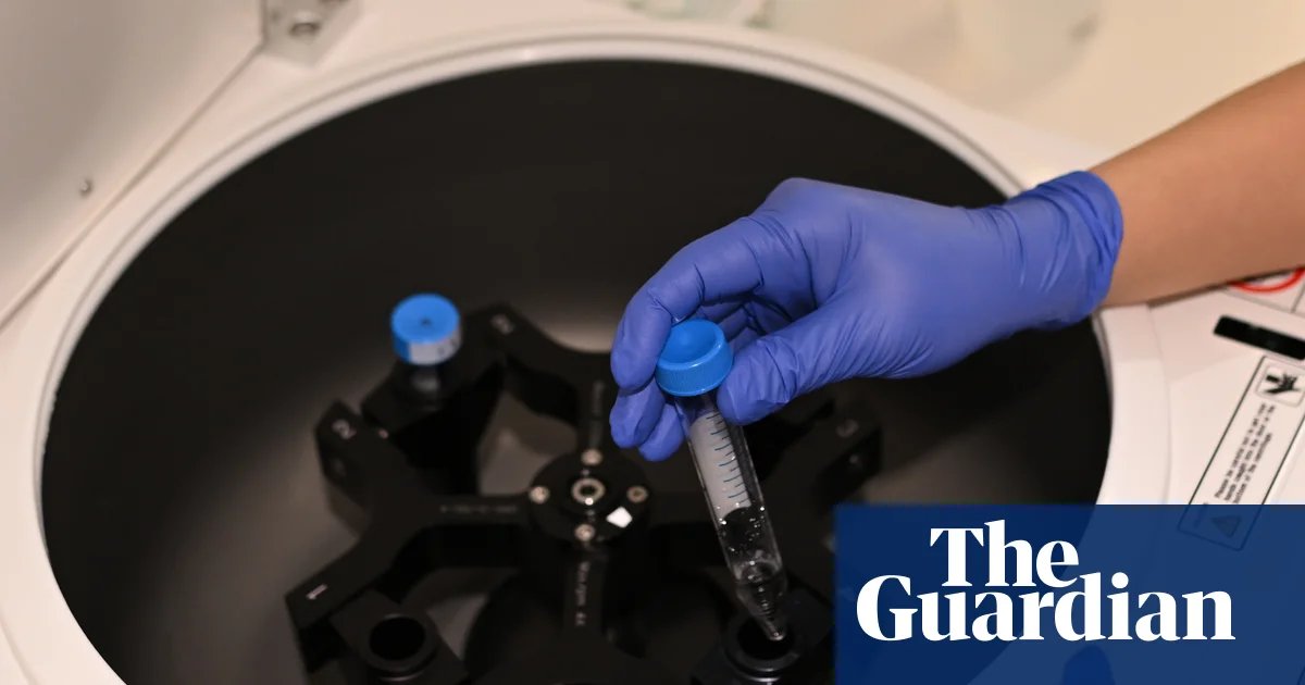 UK IVF couples use legal loophole to rank embryos based on potential IQ, height and health | IVF