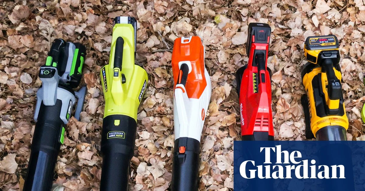 The best cordless leaf blowers in the US to cut down time without bothering neighbors | Life and style