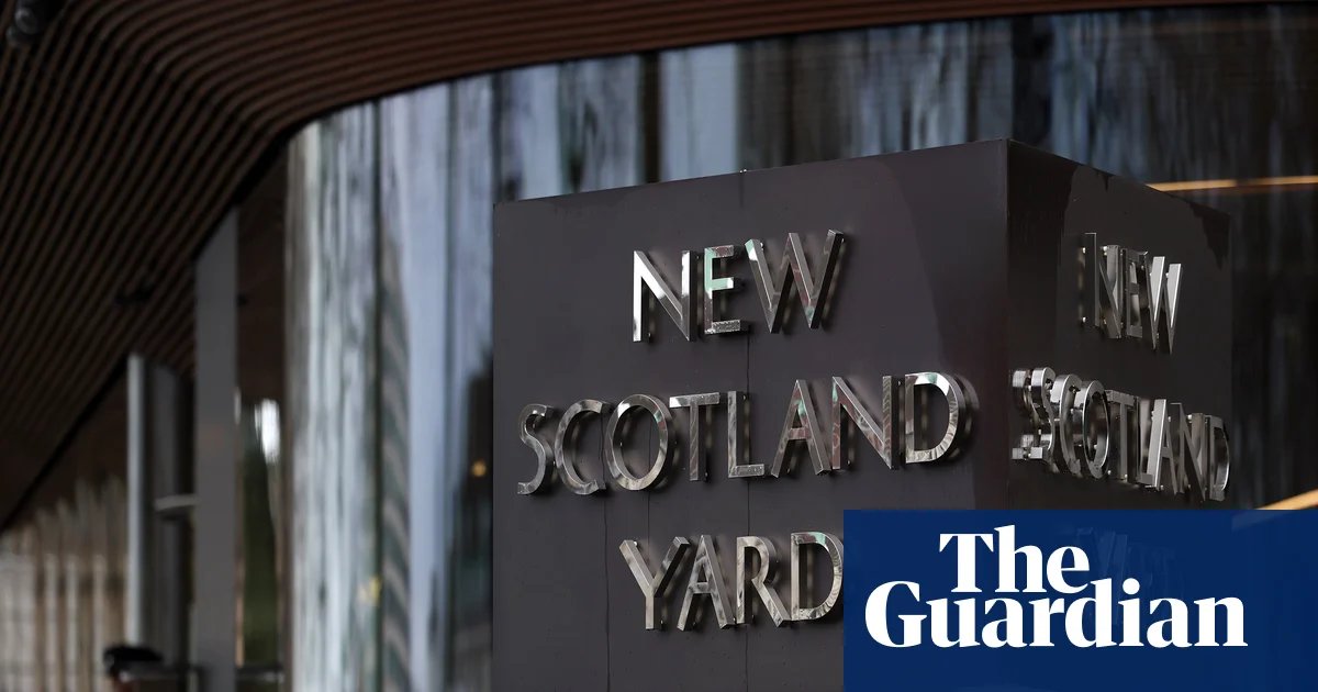 Police spied on group set up to expose wrongdoing in Met, inquiry hears | Undercover police and policing