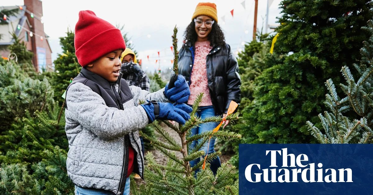 How to pick the perfect real Christmas tree for the best price in the UK | Christmas