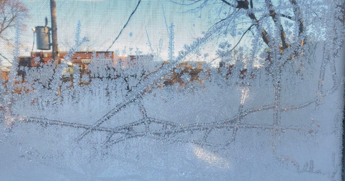 Saturday Photo: Really Frosty Morning