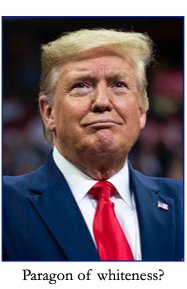 Trump to the rescue of the white race