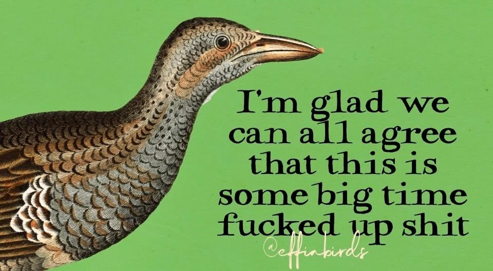 America’s new National Security Strategy tells Europe and Asia to pound sand. But they still think they run the Western Hemisphere.