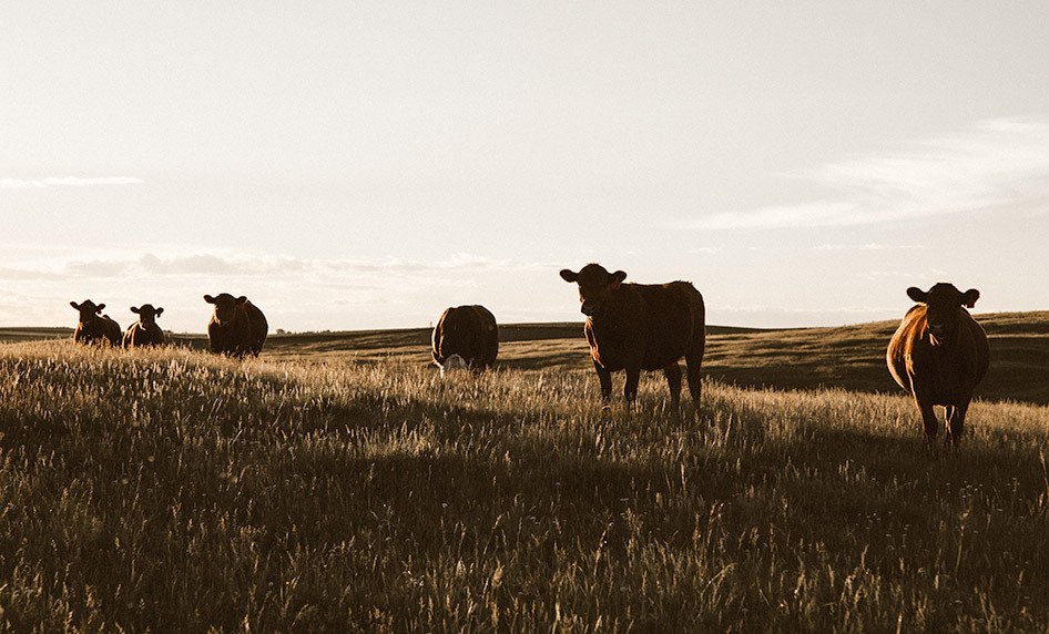 Ottawa, Alberta have agreed to extend $15-a-day child-care fees to 2027
