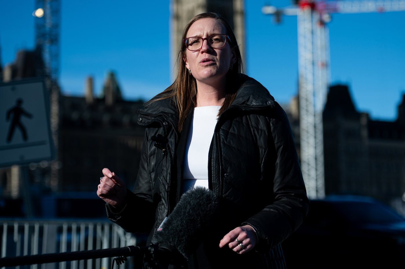 Liberal MP Gould opts not to make bid for Ontario party leadership