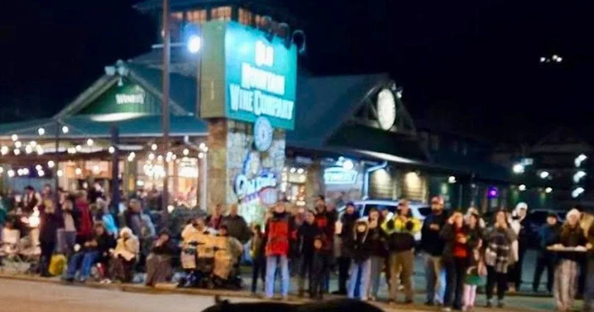 Black bear wanders into Christmas parade in Tennessee
