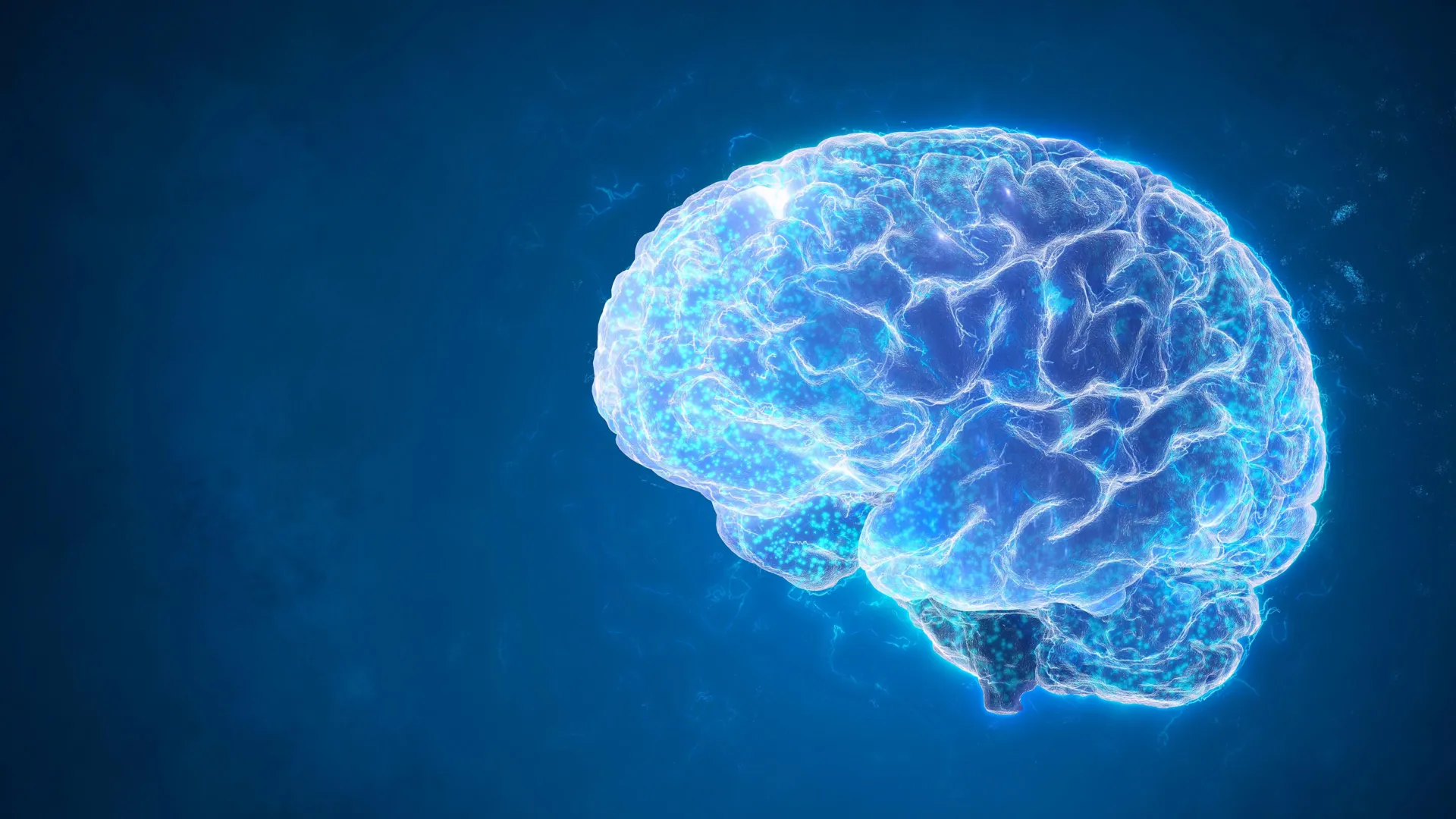 A surprising brain cleanup reduced epileptic seizures and restored memory