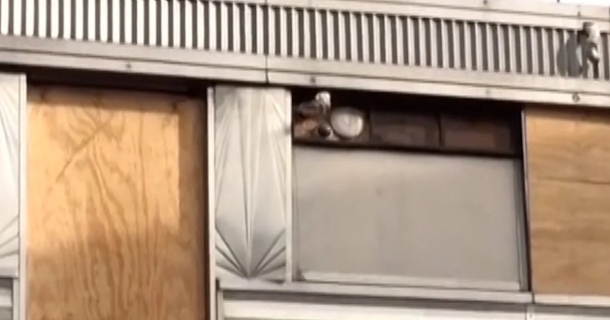 Diner moved to Steiner Studios for production use