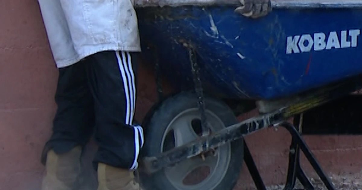 Car goes flying and smashes into St. Louis pet clinic