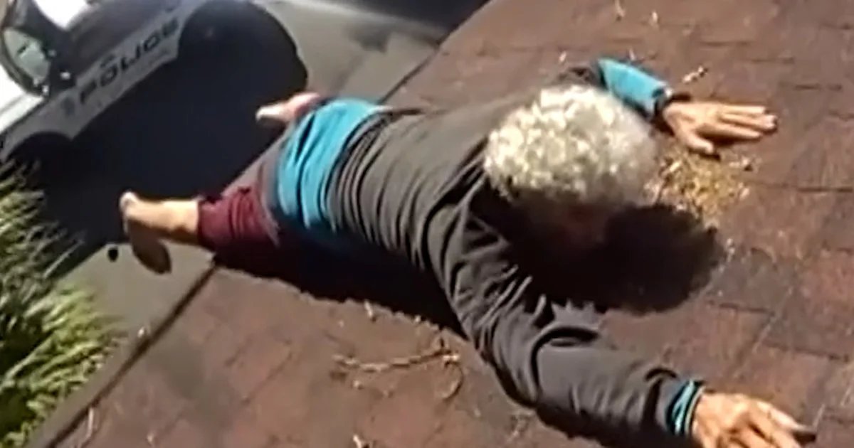 Officers rescue man dangling from roof in Florida