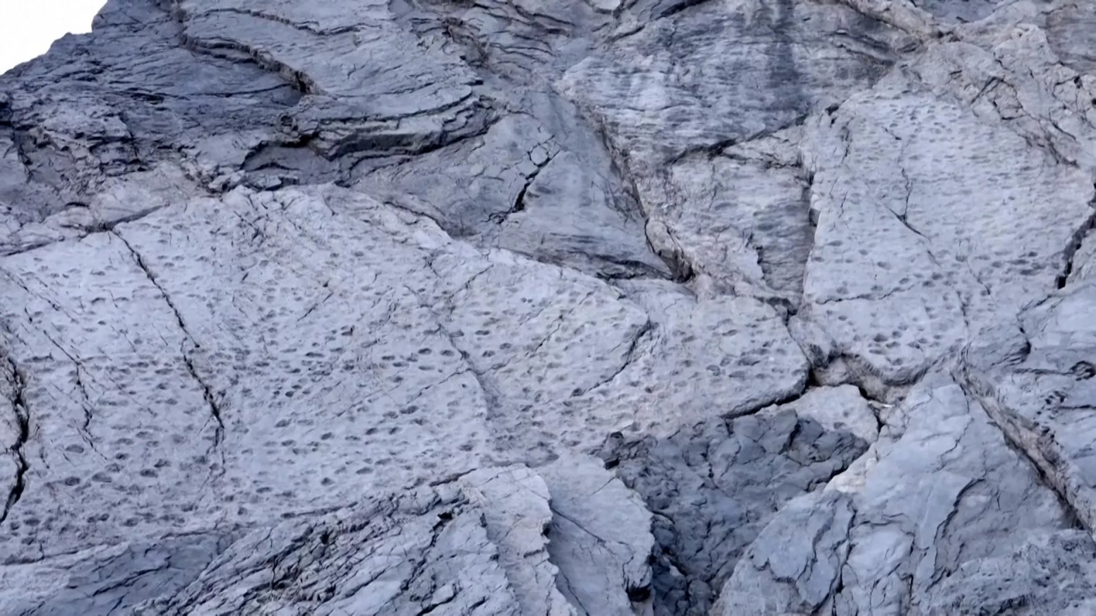 Video: Thousands of dinosaur footprints discovered in Italy | History