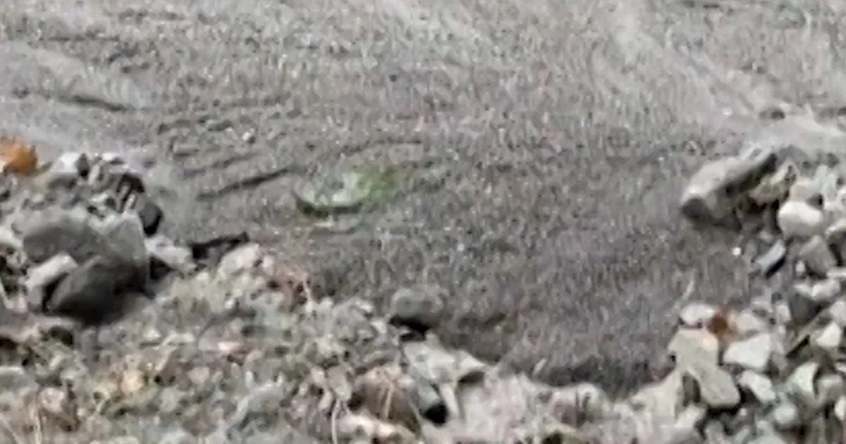 Mountain community in California struck by mudslides