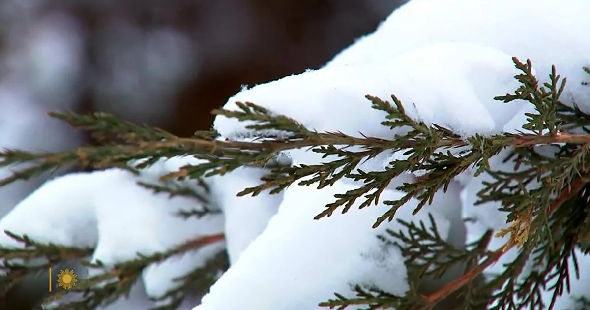 Nature: Snow in South Dakota