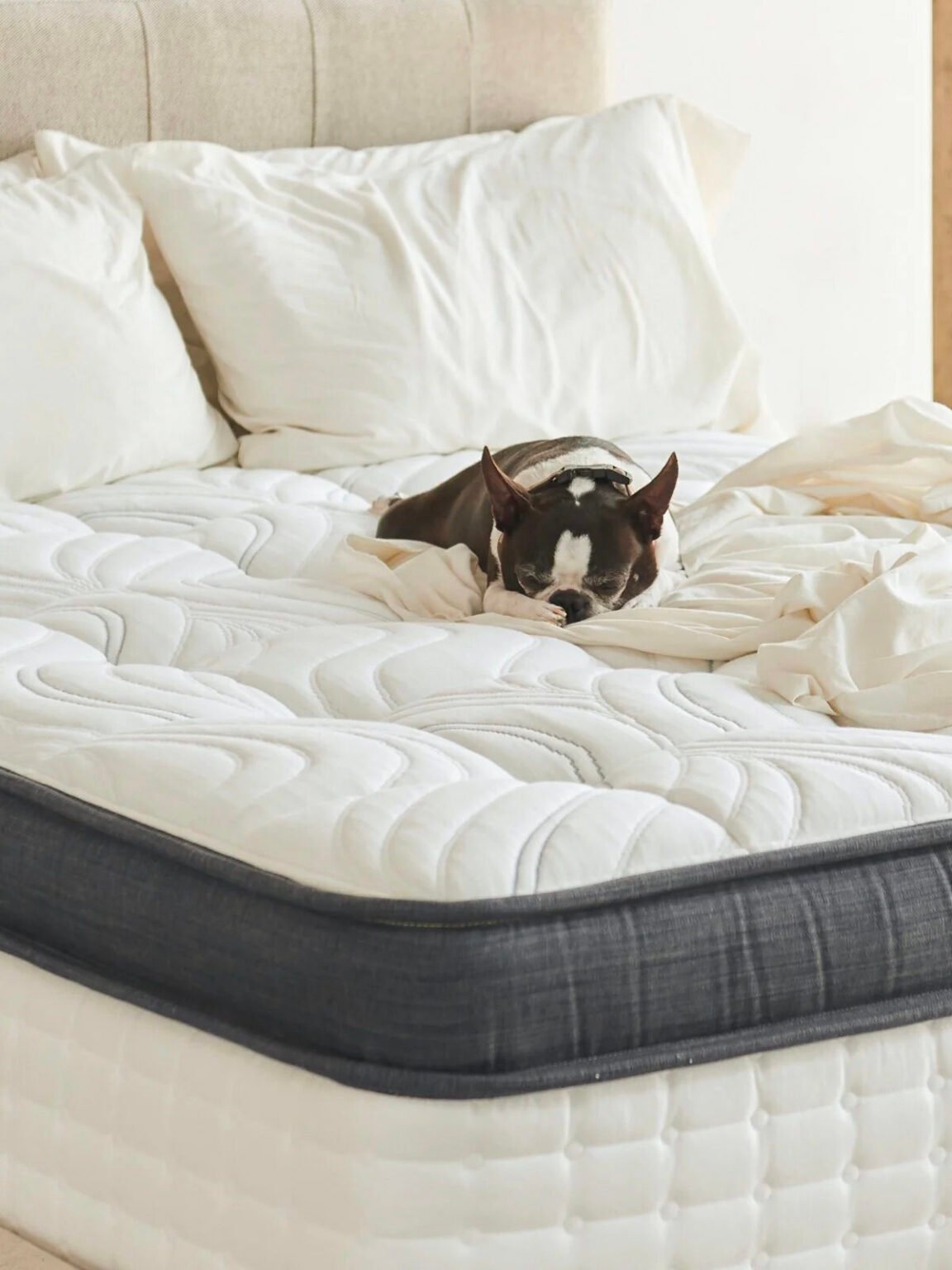 The 9 Softest Mattresses From Organic Brands (2026)