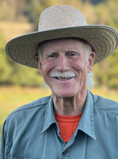 2026 New Democratic Party Leadership Race: Views on the Monarchy