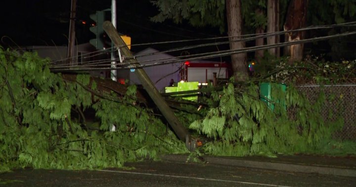 100,000 BC Hydro customers without power as storm pummels parts of B.C.