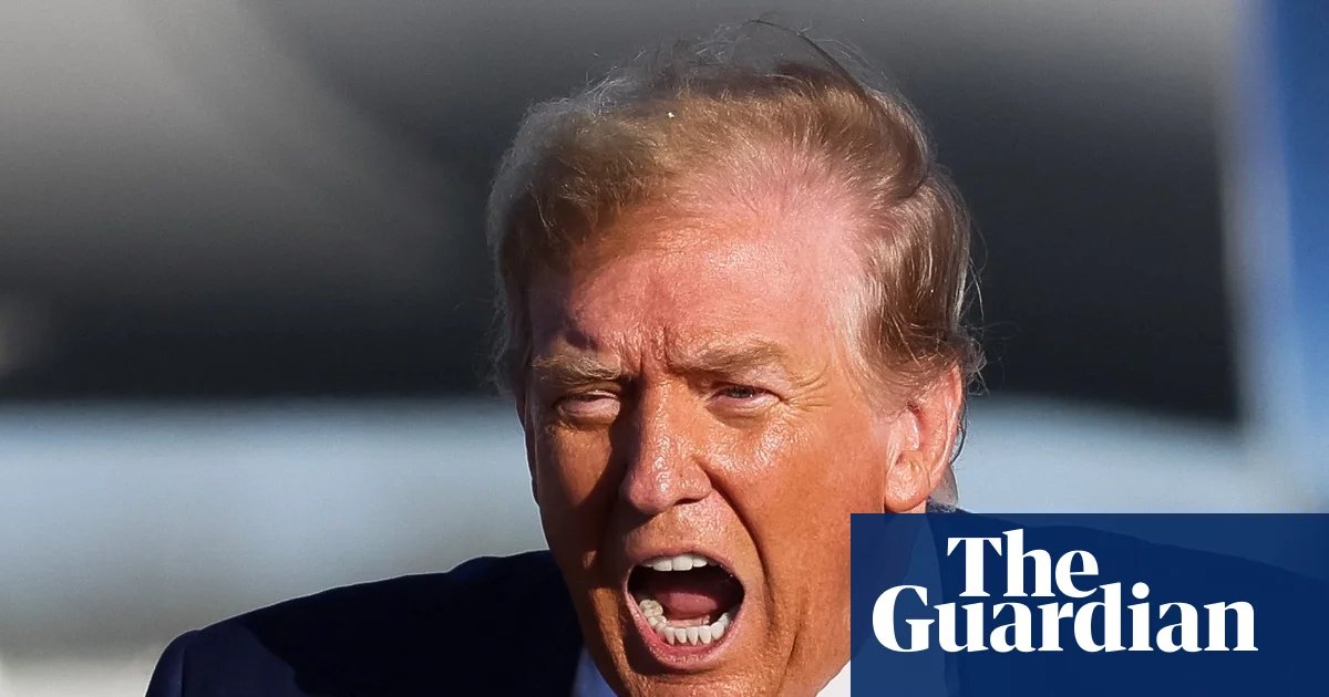 ‘You don’t want to live inside his head’: diplomats’ dilemma in the age of Trump | Donald Trump