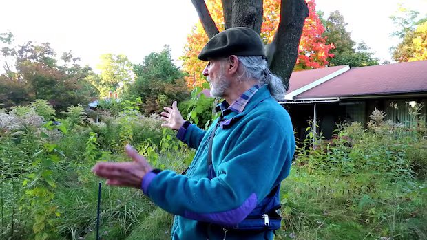 A Mississauga man took the city to court over not mowing his lawn — and won