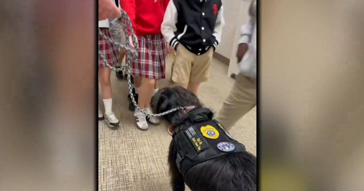 Nearly 3 years on, therapy dogs provide comfort to survivors of Nashville school shooting: “They can take your tears”
