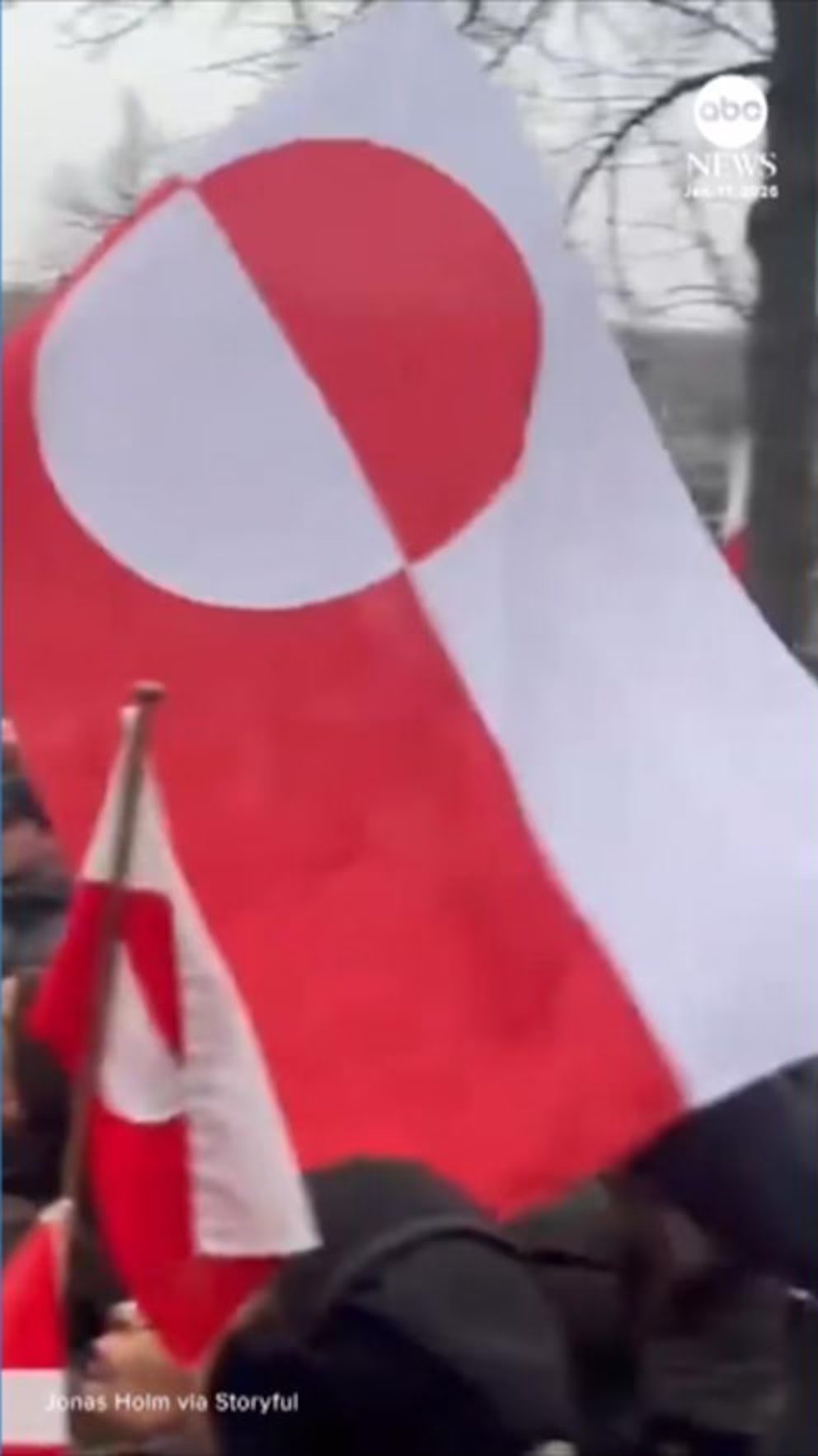 WATCH:  Thousands gather for 'Hands off Greenland' protest in Denmark