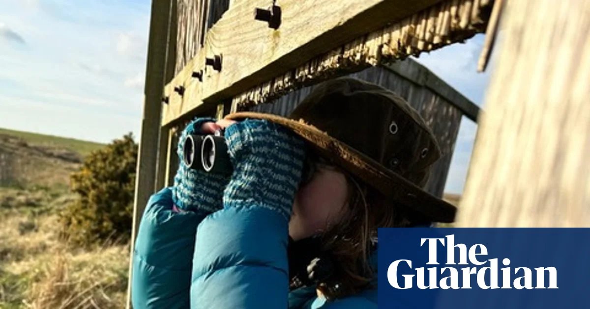 Nature boys and girls – here’s your chance to get published in the Guardian | Wildlife