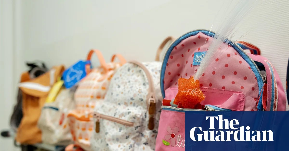 Trump administration halts more than $10bn for childcare and family assistance | US news
