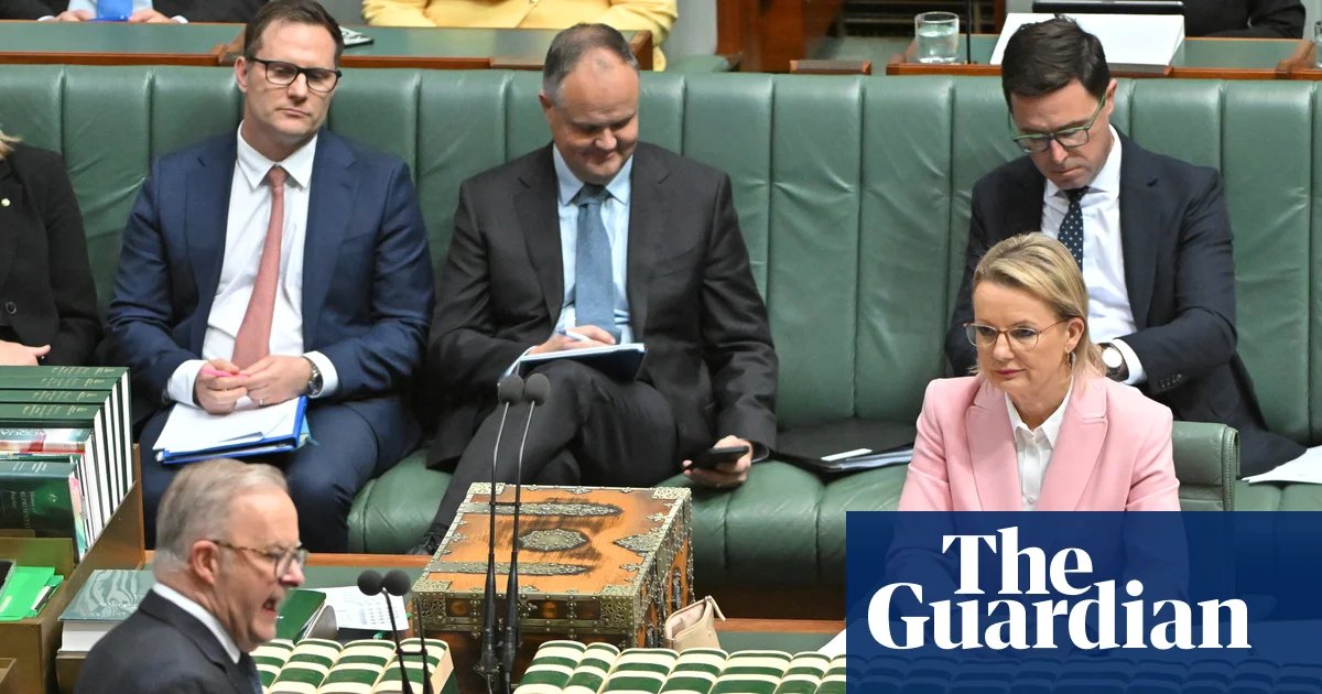 Parliament to be recalled early as Labor seeks to crack down on ‘hate preachers’ and fund gun buybacks | Australian politics