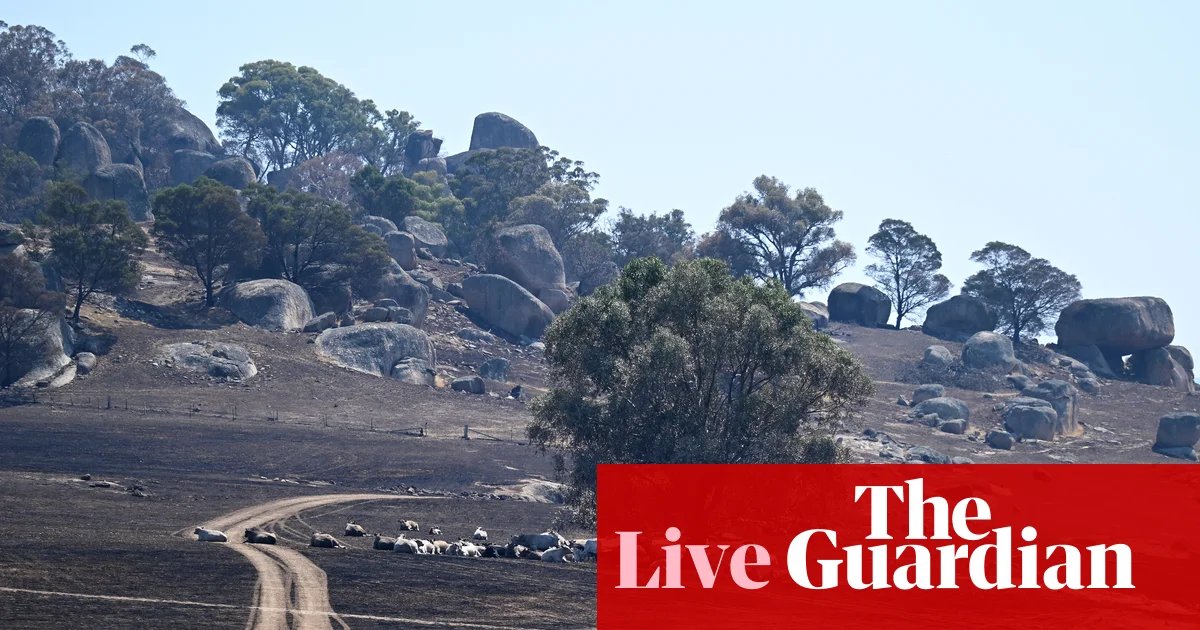 Australia news live: Victorian bushfires expected to burn for weeks; chair of Adelaide festival board resigns | Australia news