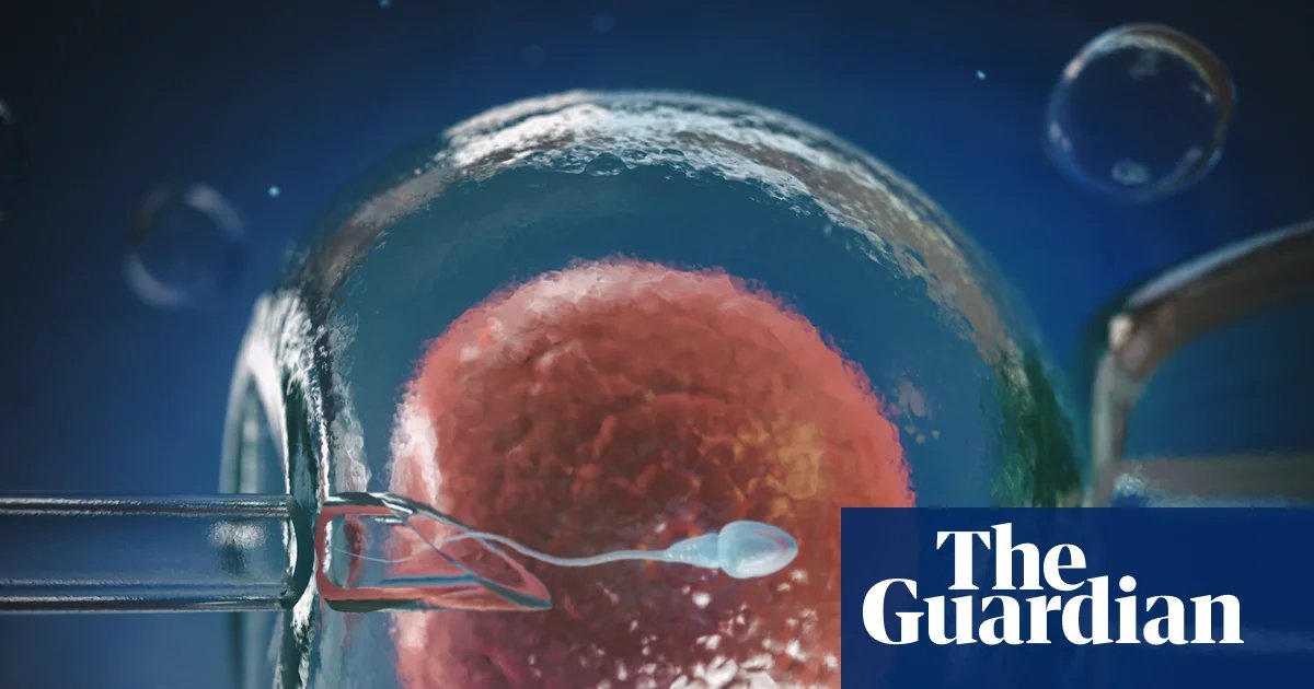 Could egg defect breakthrough help stop the IVF rollercoaster? | Medical research